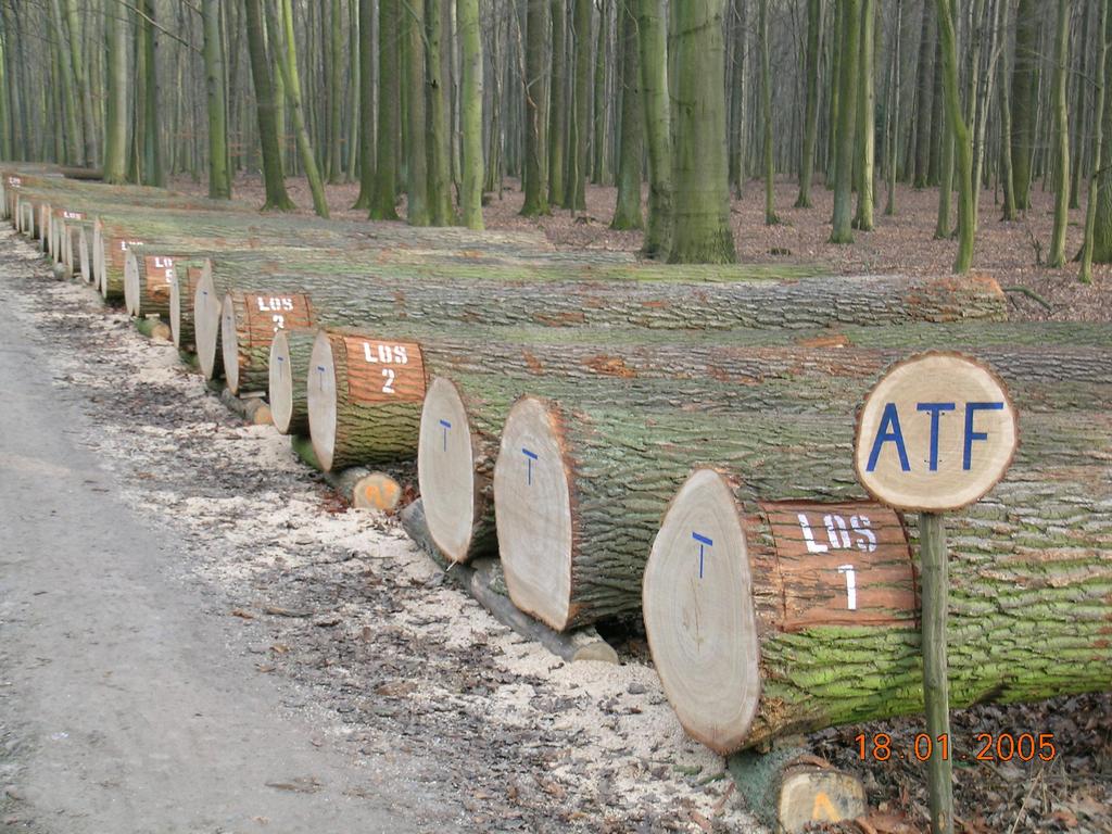 Co zatem nas czeka?