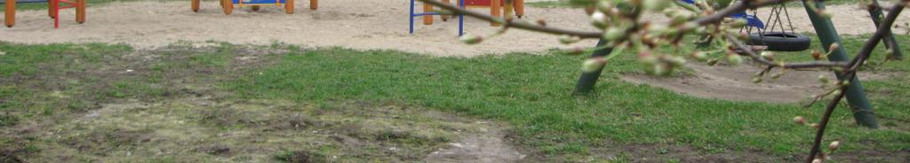 sportowy i rekreacyjny)