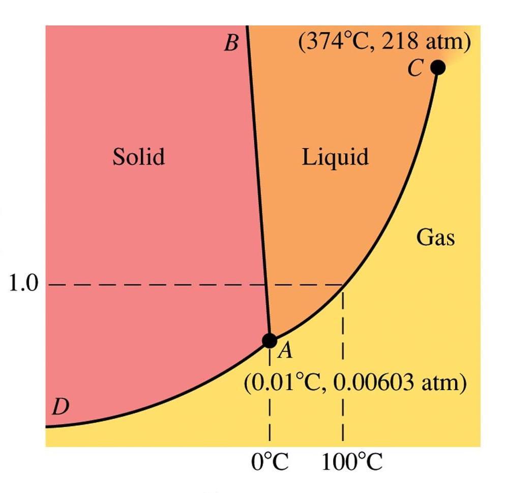 Ciśnienie (atm) Diagramy fazowe Diagram fazowy reprezentuje występowanie czystej fazy substancji w zależności od temperatury i ciśnienia (czysta substancja w układzie zamkniętym) Reguła faz lub