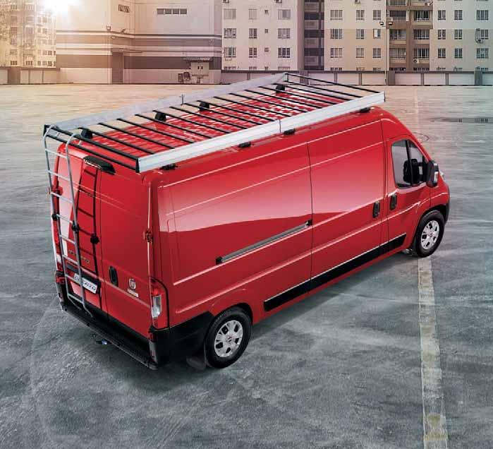 Ducato z krótkim