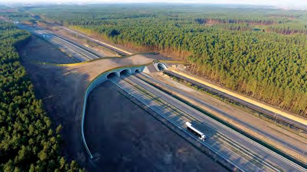SuperCor KONSTRUKCJE PODATNE Z BLACHY FALISTEJ KONSTRUKCJE PODATNE Z BLACHY FALISTEJ SuperCor Lista dokumentów sankcjonujących stosowanie konstrukcji SuperCor w Polsce: Certyfikat CE na zgodność z