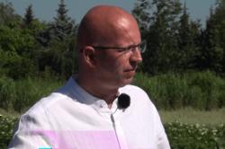 https://www. Wrocławiu podpowiada, jak pozbyć się szkodnika, stosując sprawdzone metody biologiczne i chemiczne. Zobacz koniecznie! agrofakt.pl: Witam serdecznie w kolejnym odcinku Poradnika agrofakt.