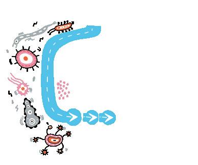 OPANTENTOWANA MEMBRANA Nanotechnologia wykorzystana w