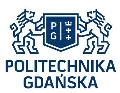 POLITECHNIKA GDAŃSKA WYDZIAŁ CHEMICZNY KATEDRA INŻYNIERII PROCESOWEJ I TECHNOLOGII CHEMICZNEJ TECHNOLOGIE MATERIAŁÓW