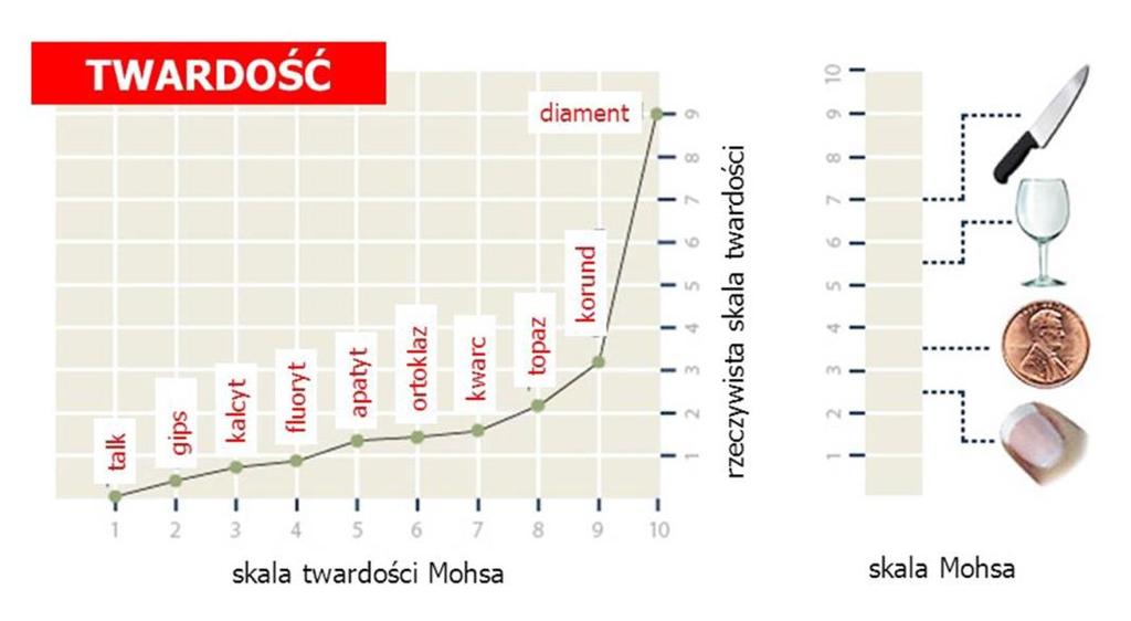 Można wyróżnić
