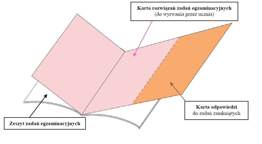 ELEMENTY ARKUSZA EGZAMINACYJNEGO