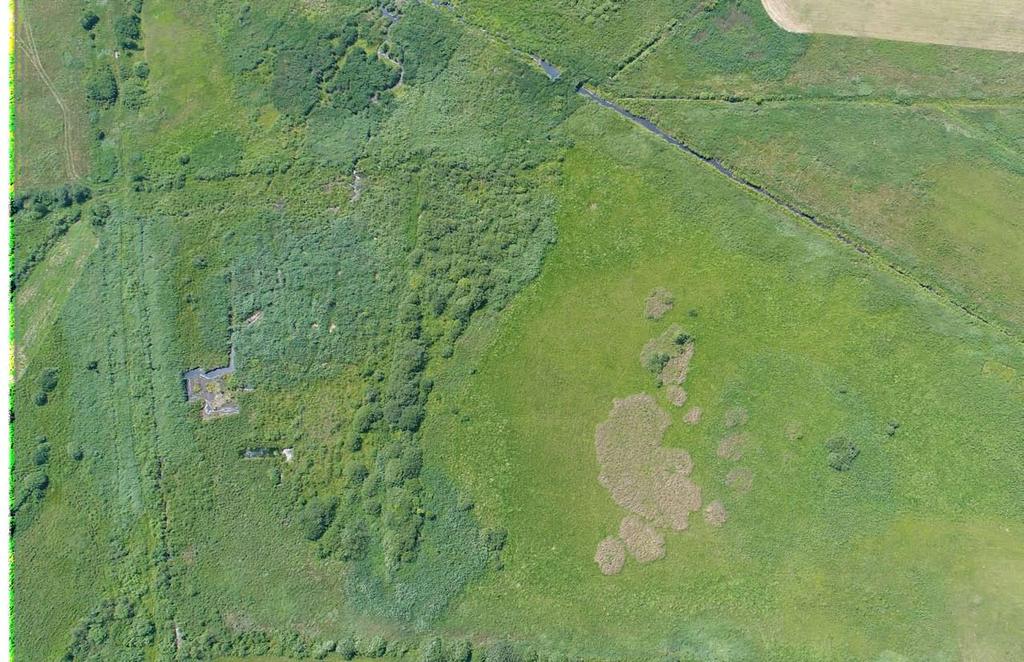 Raport z realizacji projektów: Ochrona torfowisk alkalicznych (7230) w młodoglacjalnym krajobrazie