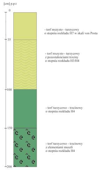 i Stachyry (2003), Jarzombkowskiego i Pawlikowskiego (2012) i Wołejki i in. (2012). Ryc. 5.