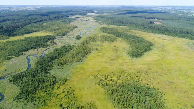 Fot. 10. Torfowiska doliny Rospudy jedne z najcenniejszych torfowisk alkalicznych środkowej Europy obecnie, w części własność Klubu Przyrodników (fot. R. Stańko).