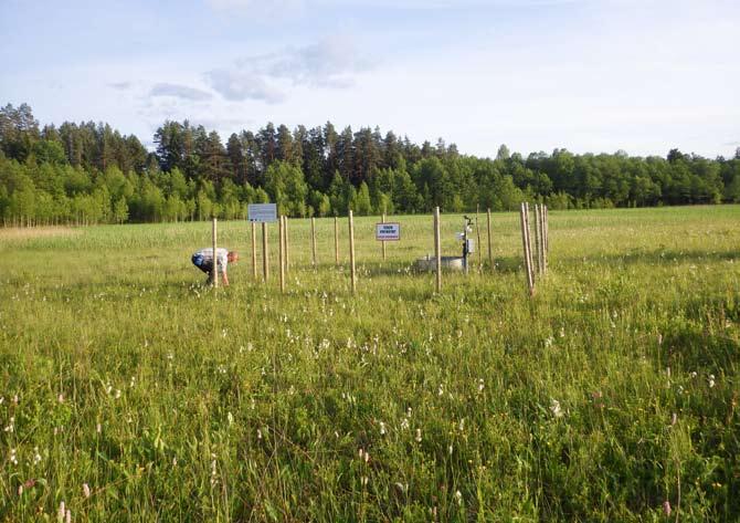 4. Wybrane elementy monitoringu przyrodniczego Robert Stańko, Lesław Wołejko, Filip Jarzombkowski 4.1.