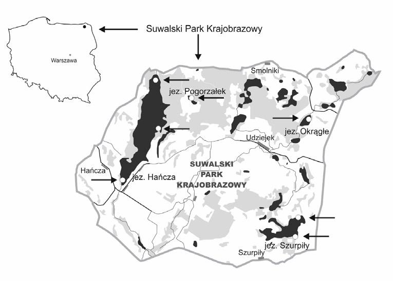 Przegląd Przyrodniczy XXIX, 3 (2018) Ryc 1. Fig. 1. Rozmieszczenie stanowisk badań raków na terenie Suwalskiego Parku Krajobrazowego. Distribution of the research sites in the Suwalski Landscape Park.