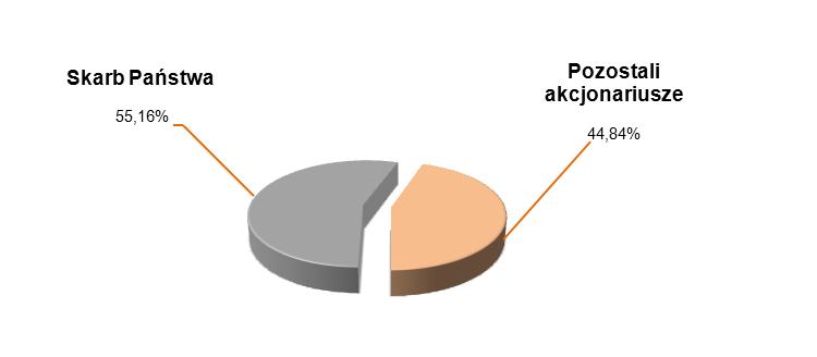 7. AKCJE I STRUKTURA WŁAŚCICIELSKA JSW S.A. 7.1. KAPITAŁ I STRUKTURA WŁAŚCICIELSKA Na dzień 31 marca 2014 roku, jak i na dzień sporządzenia niniejszego sprawozdania, kapitał zakładowy JSW S.A.