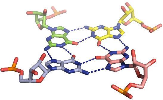 Trzeciorzędowe interakcje RNA: interakcje wielozasadowe (multi-base interactions)