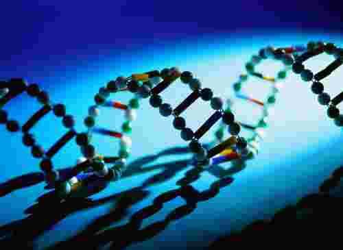 Interferencja RNA (RNAi) Silny, naturalnie występujący biologiczny mechanizm wyciszania genów, sterowany przez małe cząsteczki RNA.
