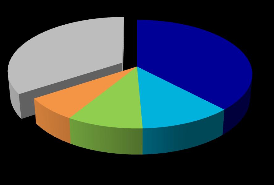 34,35% 37,94% Andrzej Wierzba Amplico TFI S.A. Michał Pszczoła 6,91% 9,42% 11,38% Quercus TFI S.A. Pozostali 2.8.3. Zestawienie zmian w stanie posiadania akcji spółki lub uprawnień do nich (opcji)