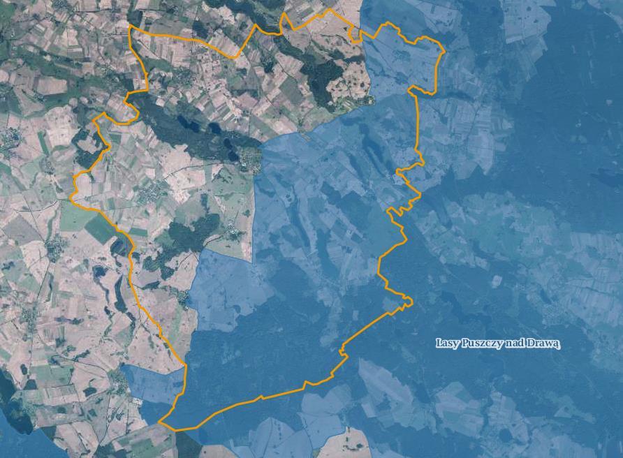 Program Ochrony Środowiska dla Gminy Krzęcin Rysunek 3. Obszar Natura 2000 "Lasy Puszczy nad Drawą" na tle gminy Krzęcin. Źródło: www.geoserwis.gdos.gov.
