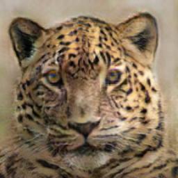 Example results of animal
