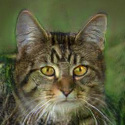 848 0.164 0.817 0.956 0.954 house cats dogs 0.
