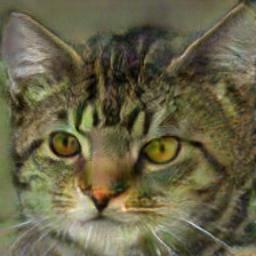 050 model produces an image x 1 2 that