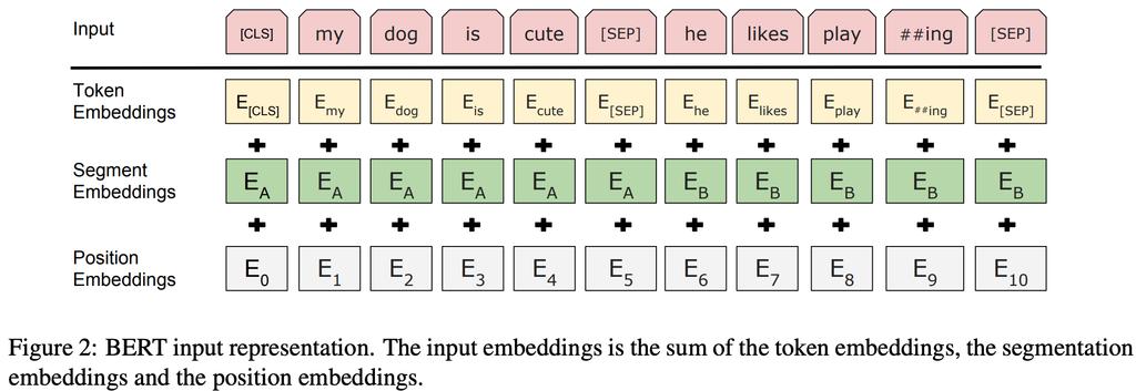 BERT Input RepresentaKon input uses WordPieces (vocabulary of size 30,000) first token is [CLS] special token [SEP]