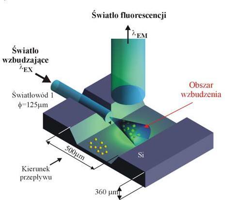 Źródło światła: laser półprzewodnikowy o długości fali emisji 532 nm i mocy 5 mw 3.