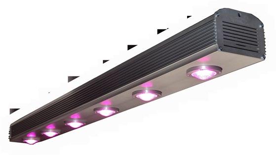 LAMPY LED COB PLANTALUX EX plantalux.