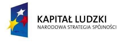 Specyfikacja Istotnych Warunków Zamówienia (zwana dalej SIWZ) na realizację zamówienia Centrum Projektów Europejskich, poprzez Krajową Instytucję