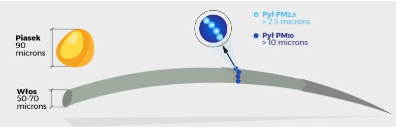 Pyły, które wdychamy Pył PM10 zawiera cząstki o średnicy mniejszej niż 10 mikrometrów, które mogą docierać do górnych dróg oddechowych i płuc.