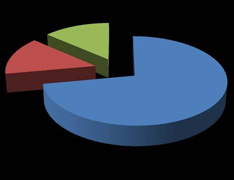 Wykres 4. Zestawienie gruntów w gminie Brudzeń Duży Grunty w Gminie Brudzeń Duży 14% 14% 72