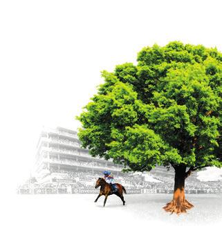 2018 Investec Oaks winner Forever Together is the latest in a long line of Classic winners to