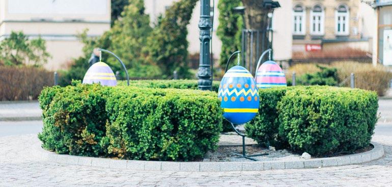 20 21 Września - Jajka L www.terraeaster.