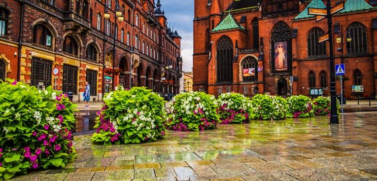 40 41 Ukwiecimy miasto w Twoim imieniu! Opracujemy koncepcję projektową, zadbamy o dobór materiału roślinnego oraz jego pielęgnację.