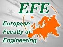 Informator dla studentów European Faculty of Engineering Aneks nr 1 (semestr I, moduł I) rok