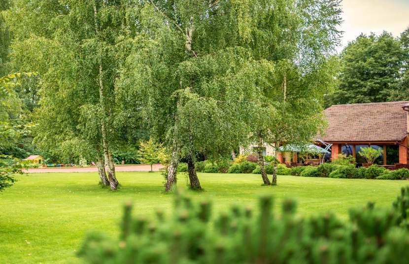 W cenie: przygotowanie terenu (trawnik, wejście)