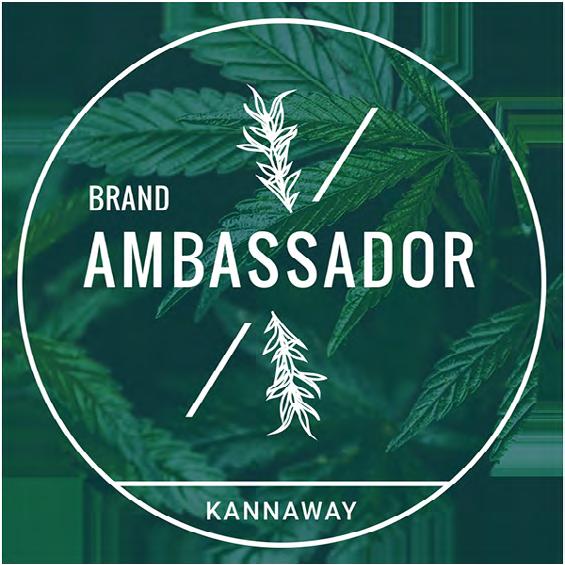 Plan Wynagrodzeń 2019 21 Brand Ambassador (BA) Wymagania Zapłać wymaganą biznesową opłatę Brand Ambasadora w wysokości $54.98/ 47.