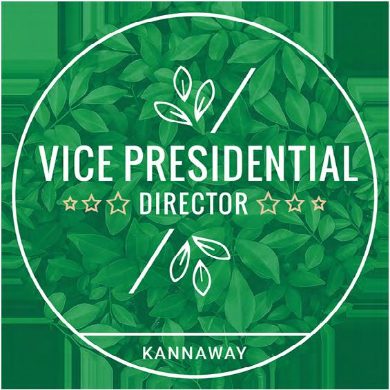 Plan Wynagrodzeń 2019 32 Vice Presidential (VPD) Wymagania Zapłać wymaganą biznesową opłatę Brand Ambasadora w wysokości $54.98/ 47.