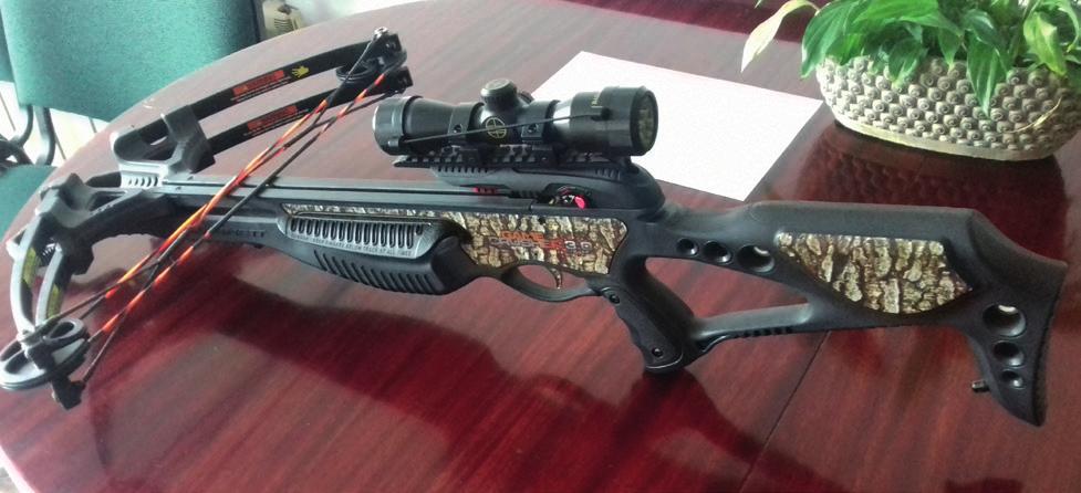 z 2019 r. poz. 284).