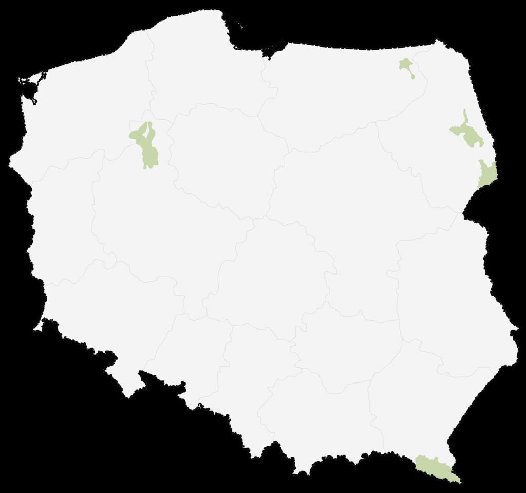 Żubry w Polsce Międzyzdroje Puszcza Borecka 1962