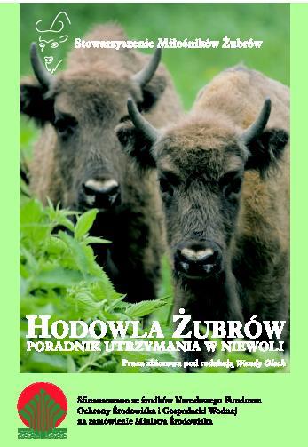 DZIAŁANIA