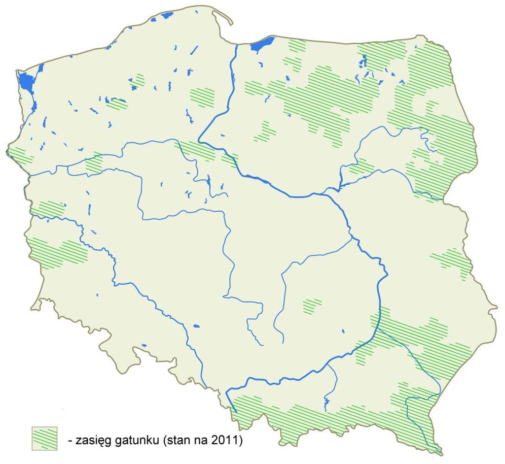 Gatunek chroniony (ochrona ścisła)