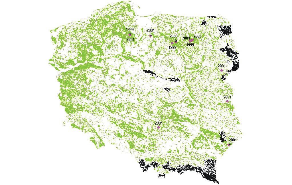 WYSTĘPOWANIE RYSIA W POLSCE
