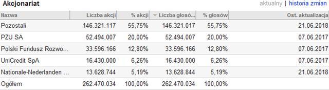 Rys. 193. Tabela przedstawiająca aktualny akcjonariat wybranej spółki.