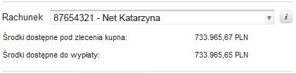 Rys. 48. Wyszukiwarka lokalna z wybranym instrumentem oraz dodatkowe informacje o instrumencie. 3.2.