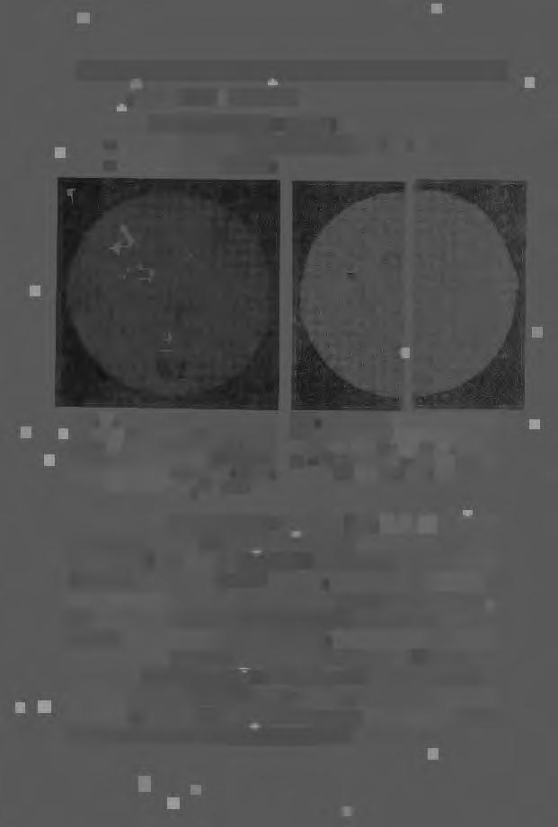 3 ), T l = 1003K za. Rys. 4. Budowa makrostrukturalna próbek z Al odlewanych pod WRPM, Tzal. 9731<, fr = 0,22Hz: a - t 3Ss, b - t = Ss (próba nr 7 i 8 w tab.