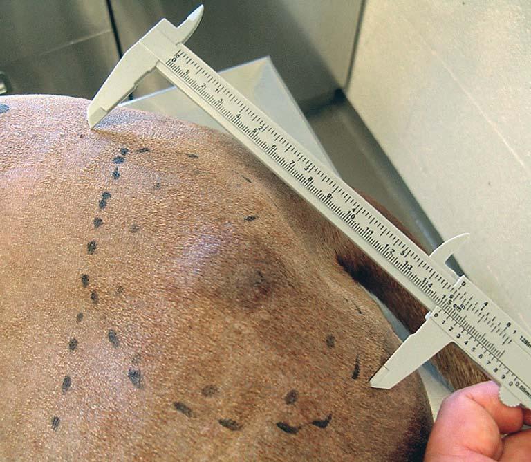 dzi do samowyleczenia, w innych, gdy przyczyn¹ jest infekcja wirusowa (brodawczyca b³on śluzowych jamy ustnej) stosuje siê ró ne formy immunomodulacji, jednak w przewa aj¹cej wiêkszości przypadków