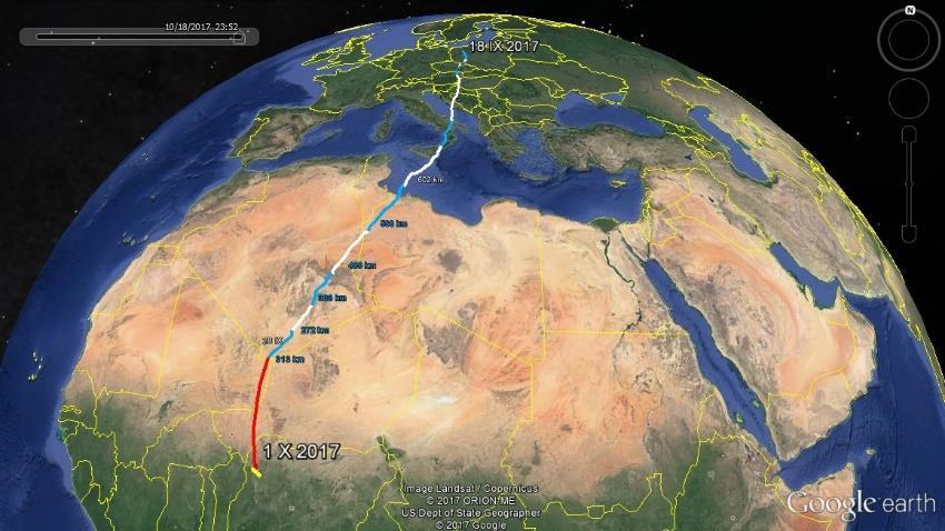 Trasa migracji Martyny (5200km), rybołowa z Nadleśnictwa Wałcz, jesienią 2017 roku.