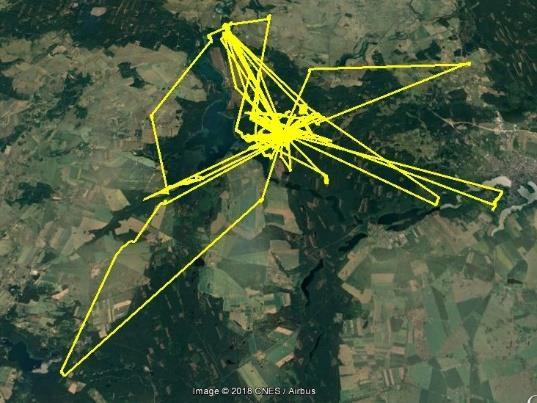 13 km Ekologia przestrzenna piskląt do migracji MARTYNA 27.07 18.09.