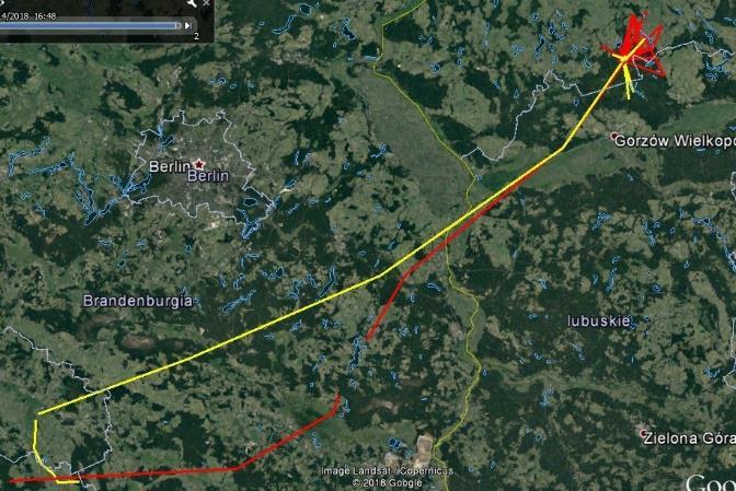 1 dzień migracji 2 młodych rybołowów z Nadleśnictwa Barlinek samica o nr: LPPL01 (linia żółta)
