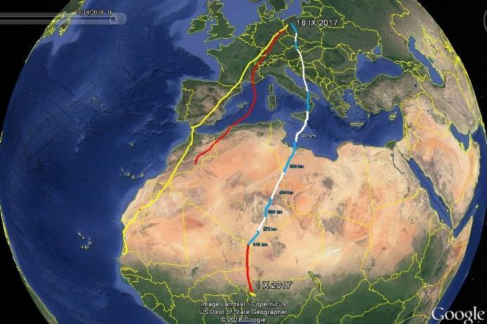 Senegal - połowy ryb wzrosły pięciokrotnie