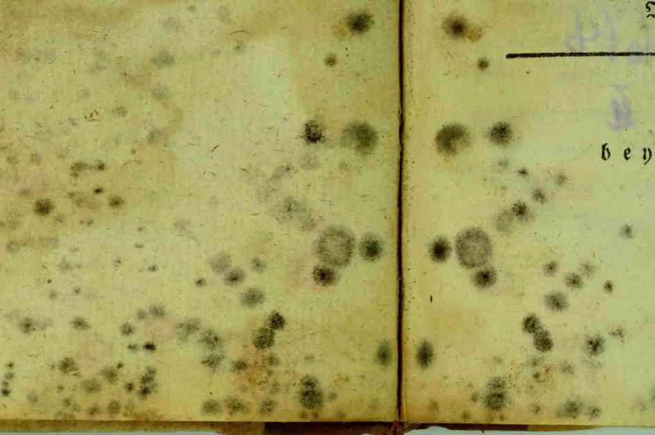 Fot. 1. Czarne i szaroczarne zaplamienia i naloty na zabytkowym papierze (fot. J. Sroka) celulozy, jest wyższy u roślin włóknistych, np.
